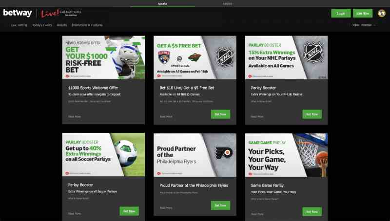 How To Search Bet Id On Betway